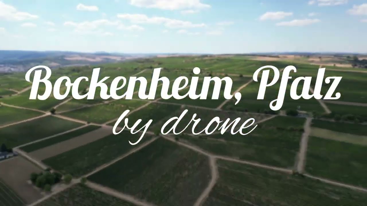 Bockenheim an der Weinstraße - Rheinland-Pfalz - Germany - by drone - Drohnenaufnahme - [4k]