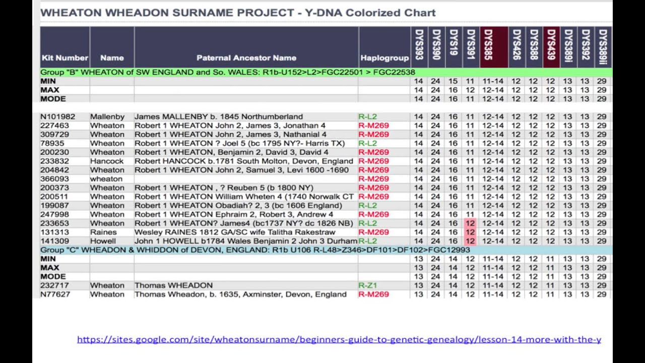 How Y-DNA can help your One Name Study