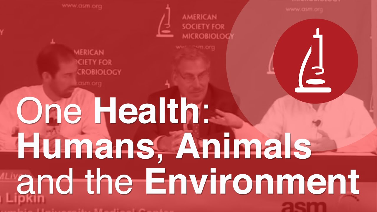 One Health: Humans, Animals and the Environment