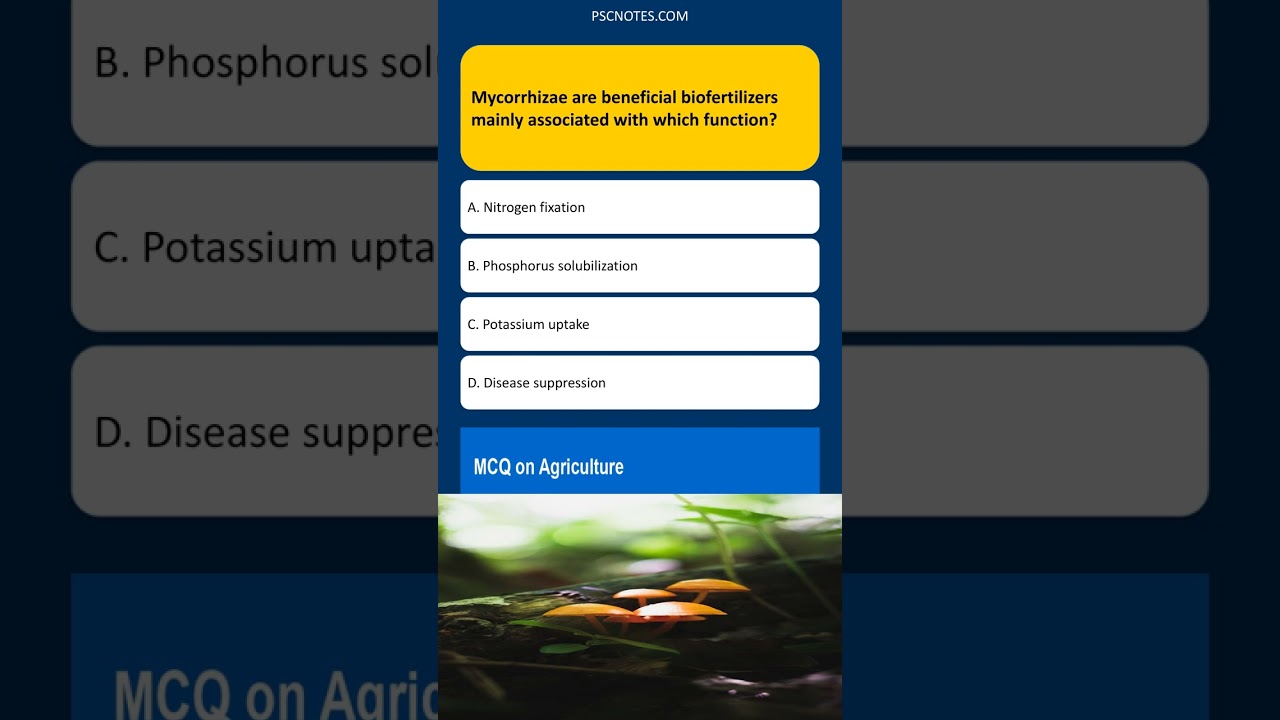 Mycorrhizae are beneficial biofertilizers mainly associated with which function?