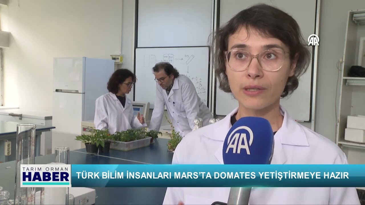 Türk bilim insanları Mars’ta domates yetiştirmeye hazır