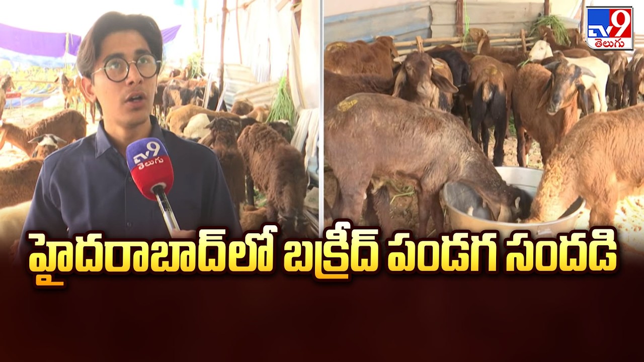 Bakrid 2026 | హైదరాబాద్&zwnj;లో బక్రీద్ పండగ సందడి - TV9