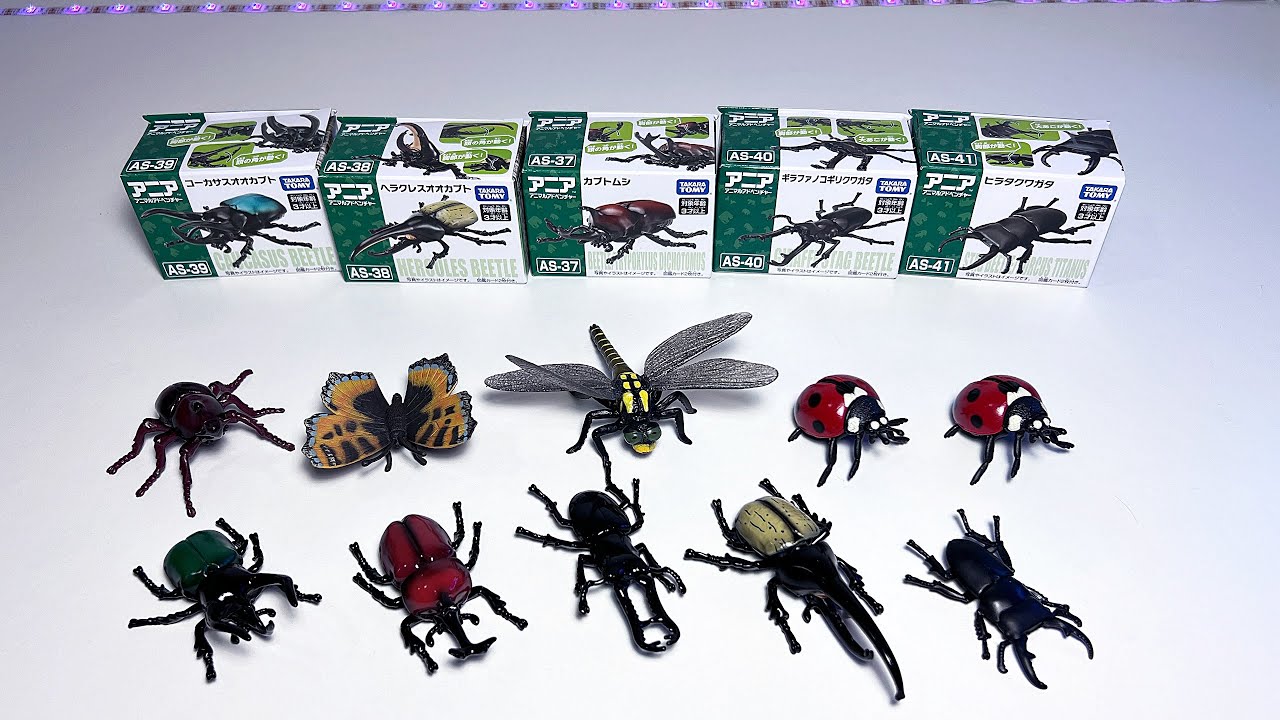 Insects Collection - Stag Beetle, Hercules Beetle, Rhinoceros Bettle, Mosquito, Grasshopper