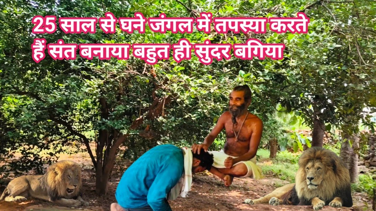 25 साल से घने जंगल में तपस्या करते हैं संत बनाया बहुत ही सुंदर बगिया 