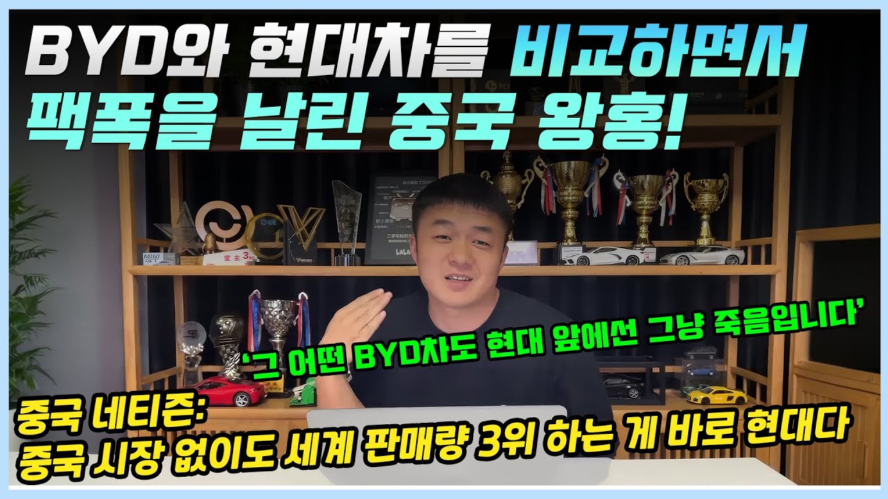 BYD가 현대보다 훨씬 좋다는 중국인들 말에 팩폭으로 반박한 중국 초대형 왕홍!ㅣ해당 사이다 영상을 본 중국인들의 반응!