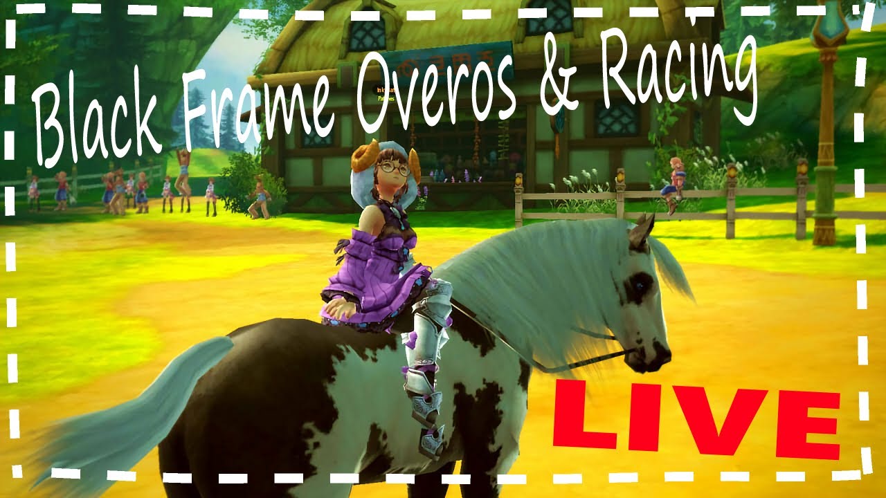 ⭐️Alicia Online | Black Frame Overo is here! 2021⭐️