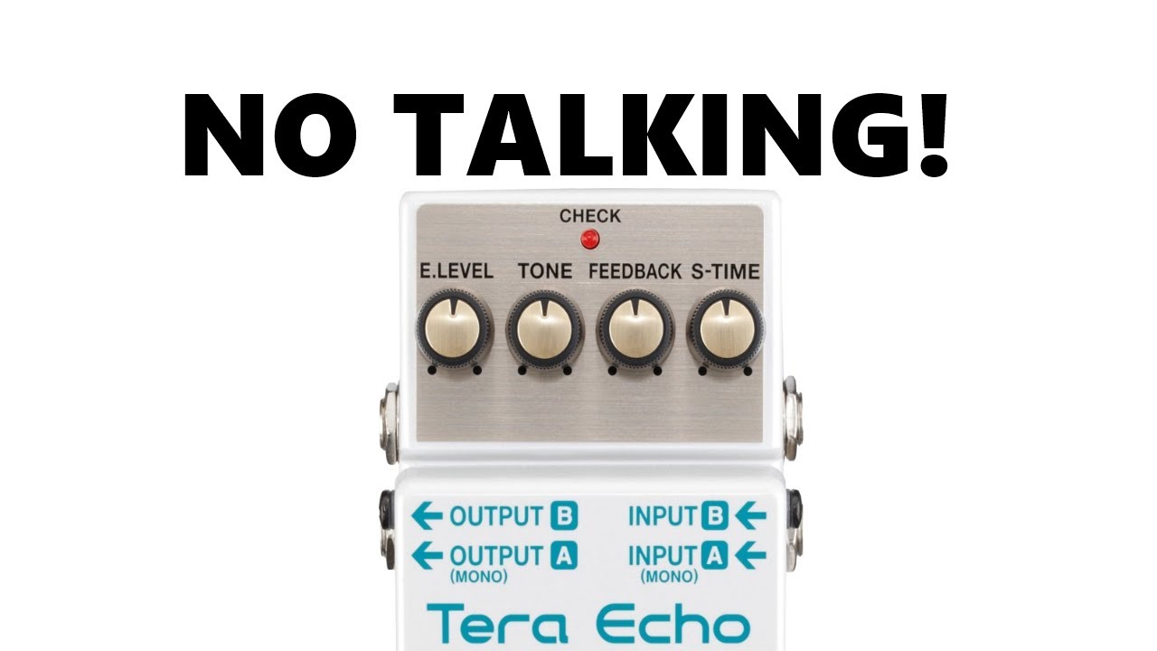 Boss - Tera Echo TE-2 - DEMO - NO SPEAKING JUST PLAYING