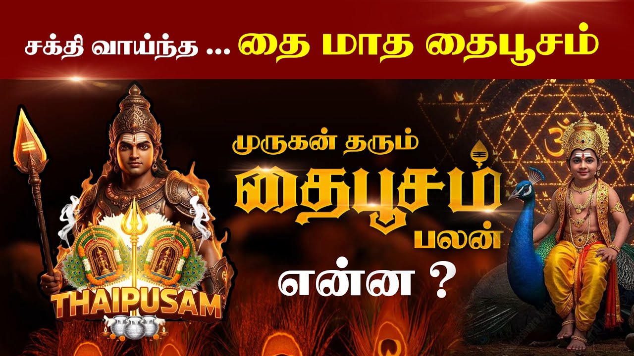 ⭐ முருகன் தரும் தைப்பூசம் முக்கிய அதிர்ஷ்ட பலன் என்ன? Thaipusam 2026 #divinehashtag #தைப்பூசம் #2026