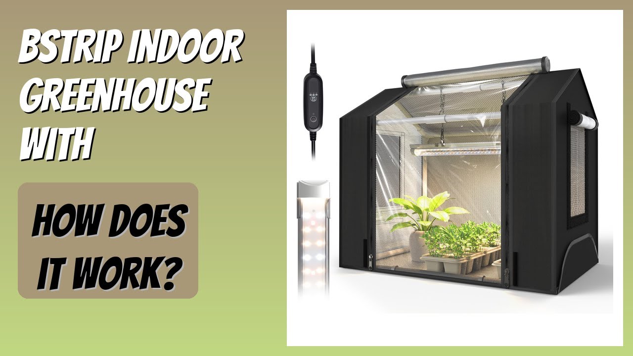 REVIEW (2026): Bstrip Indoor Greenhouse with . Features