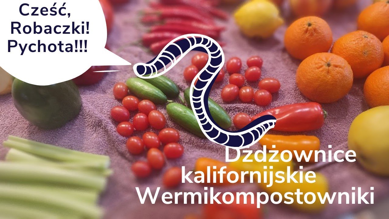 Tego dżdżownice nie lubią.  I cd. wermikompostownika w plastikowych skrzynach ogrodniczych.