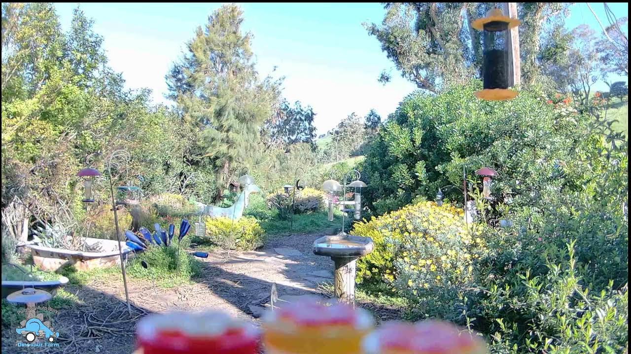 Purgatory North Garden Stream