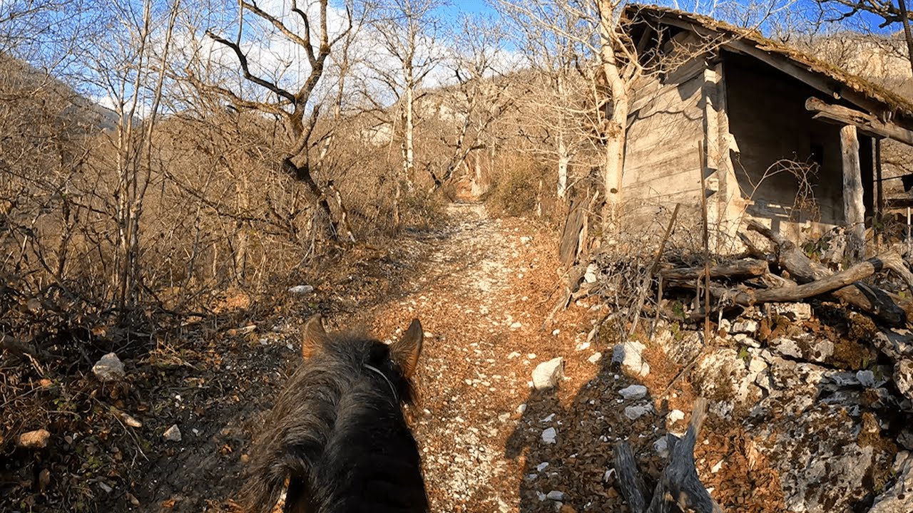 Satisfying Horseback Riding Adventure