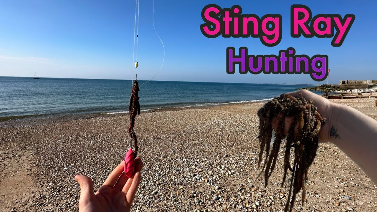 West Sussex Sting Ray Hunt | Episode 1 | Sea Fishing UK
