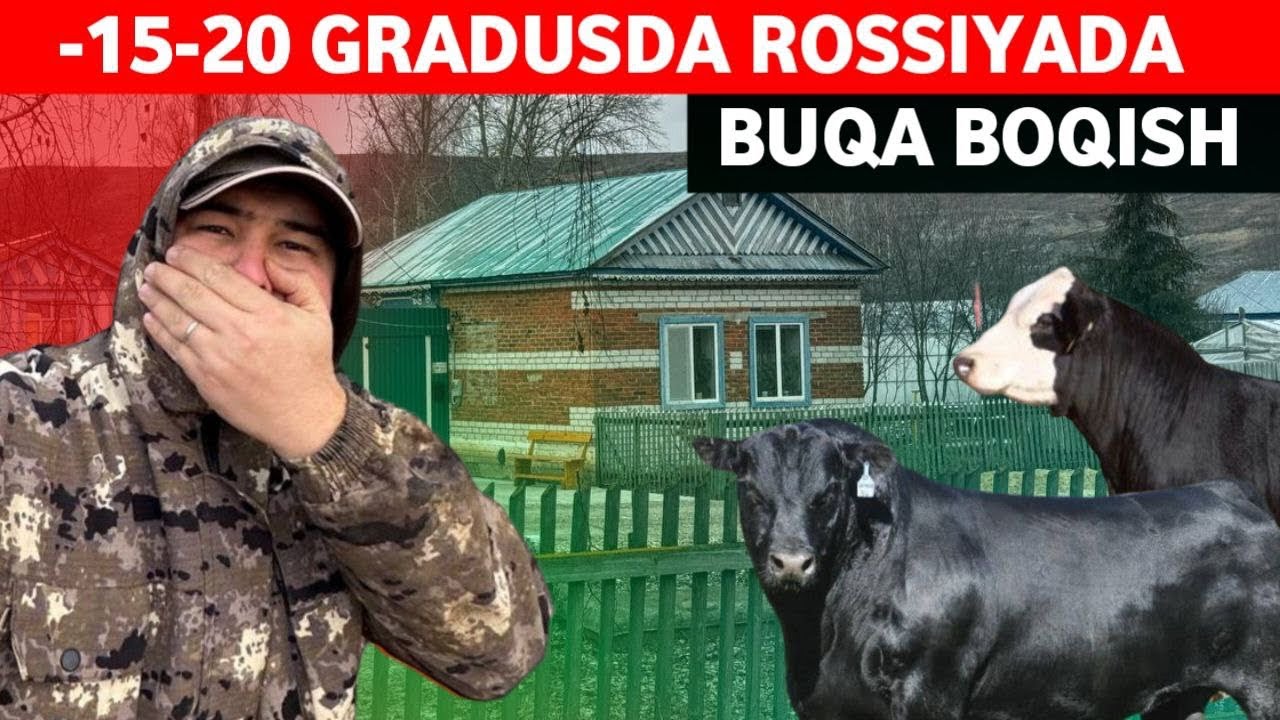 ROSSIYADA -15 -20 GRUDUSDA BUQA BOQISH,350.000₽ OLINGAN UY