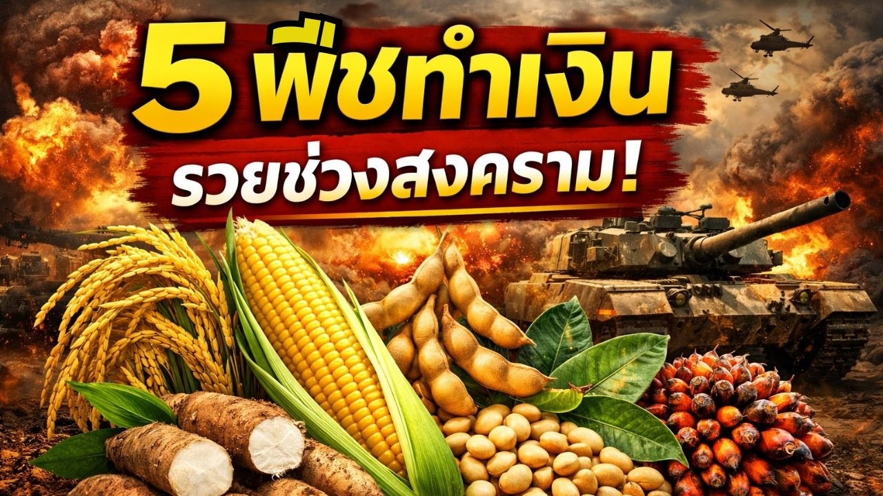 5 พืชทำเงิน! ที่กำลังจะแพงทั่วโลก เพราะสงคราม 🌍 เกษตรกรต้องรู้ก่อนปลูก
