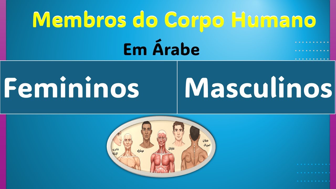 Nomes IRREGULARES do CORPO HUMANO em ÁRABE - Aula 27