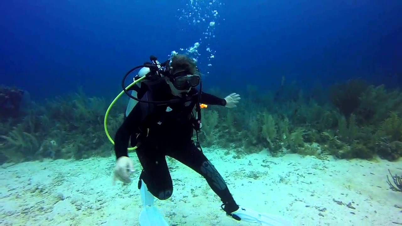 Nurse Shark Attack in Belize