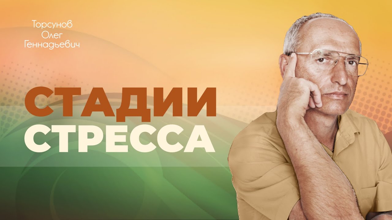 Кризис, истощение, непринятие, гнев и другие стадии стресса (Торсунов О. Г.)