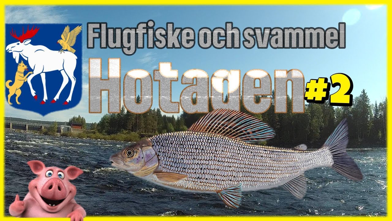 Flugfiske och Svammel #2