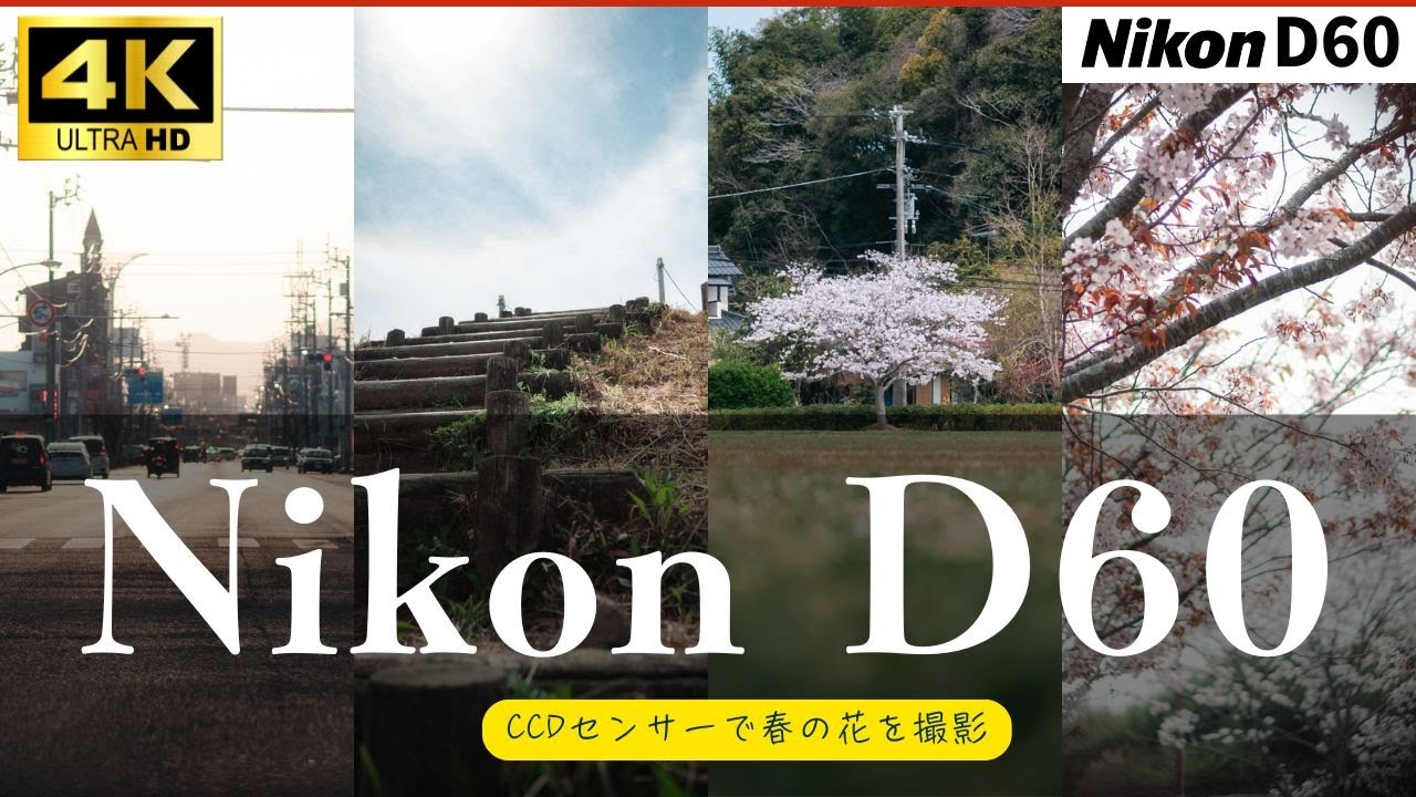 #165 【Nikon D60レビュー】中古一眼レフ×CCDセンサーで春の花を美しく撮影｜懐かしの名機を実写チェック【桜作例あり】