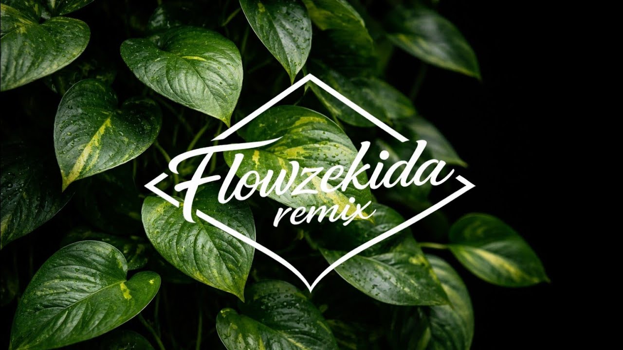 Flowzekida Remix 687 X Bradley Hert - Shades of Fire (Zouk Remix)
