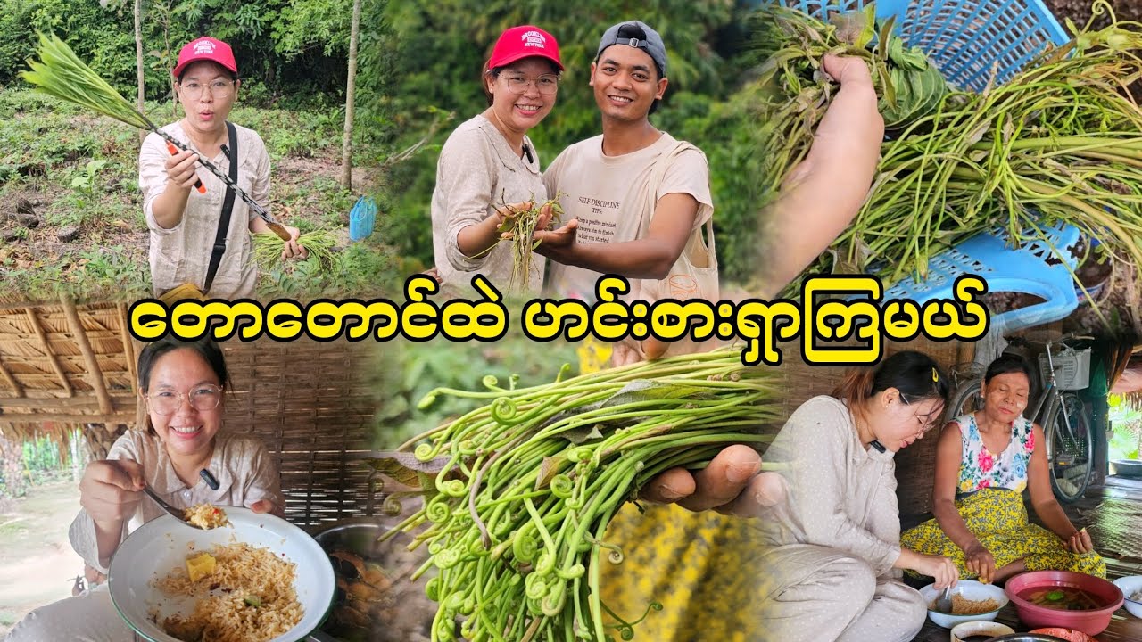 တောထဲမှာ ဟင်းစားသွားရှာကြမယ်