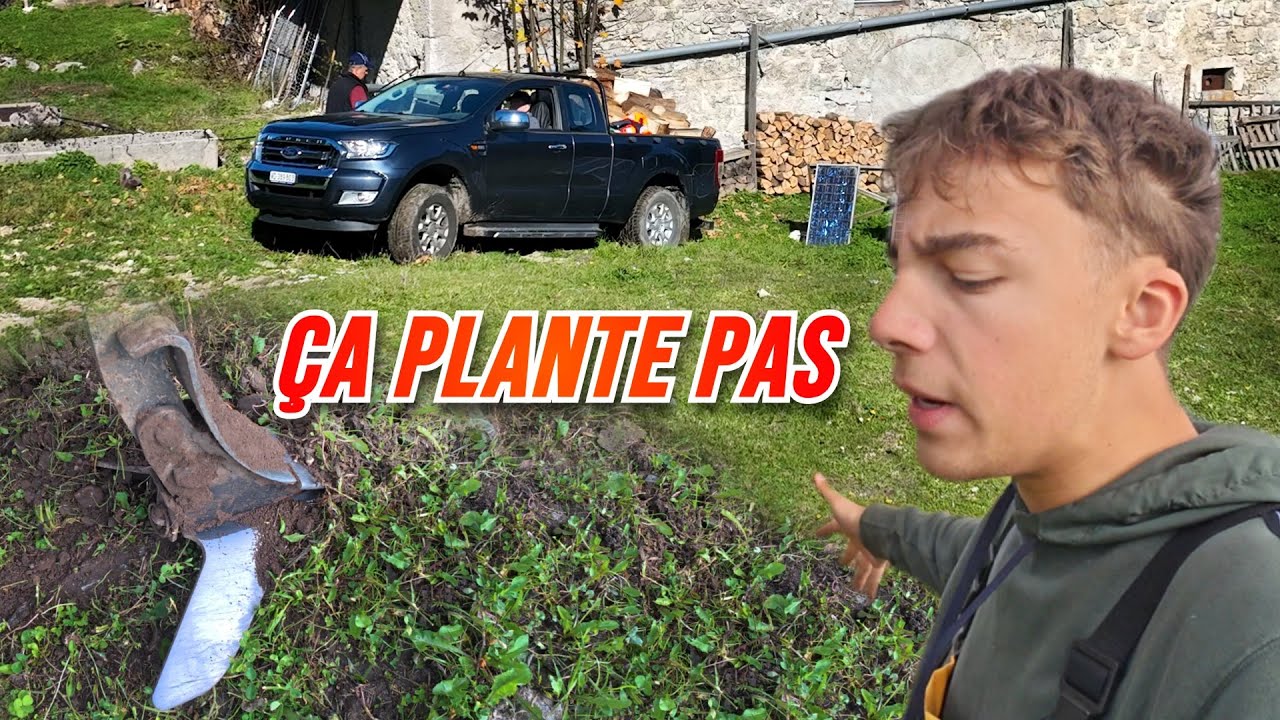 BOIS DE MONTAGNE ET SEMIS DE BLÉ !