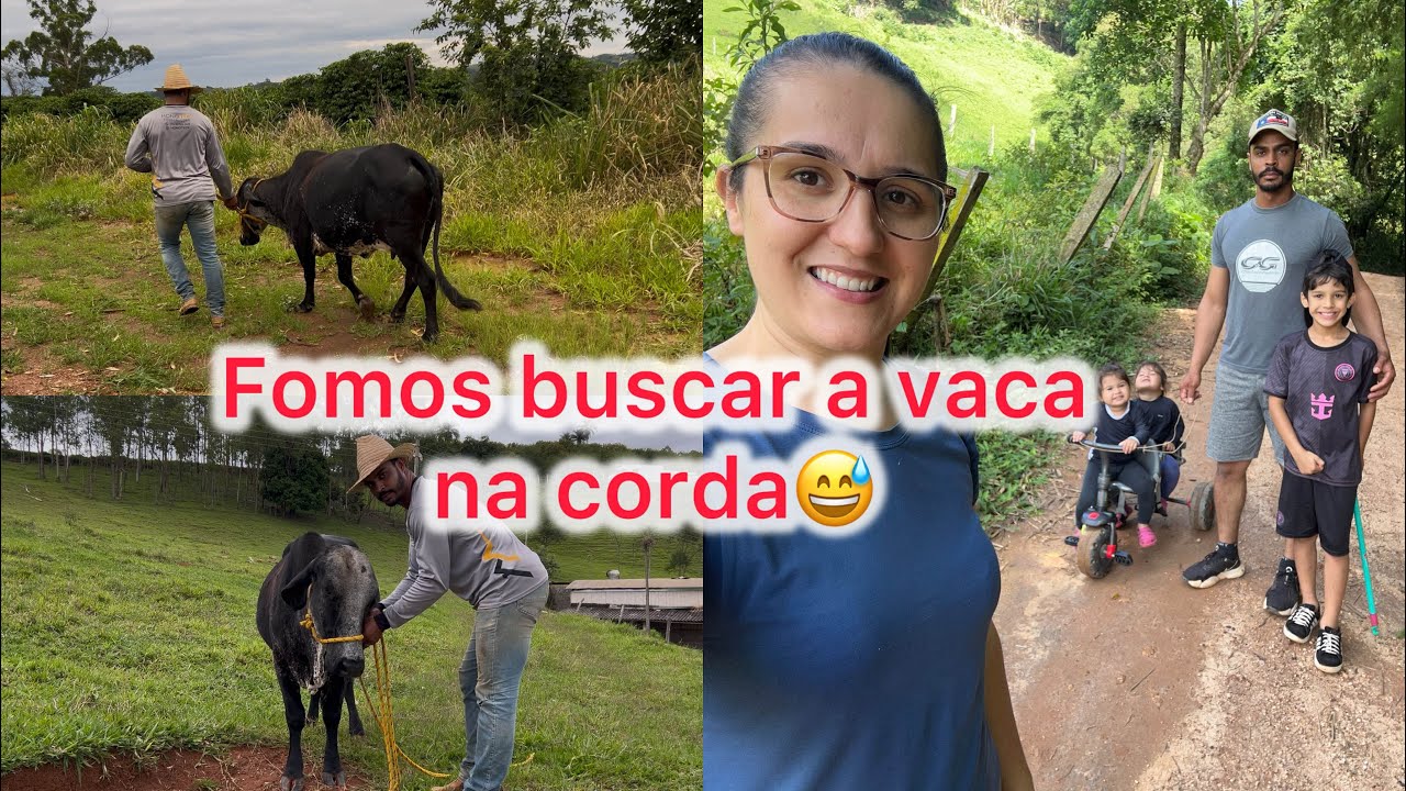 Buscamos nossa vaca /Caminhada com as crianças 