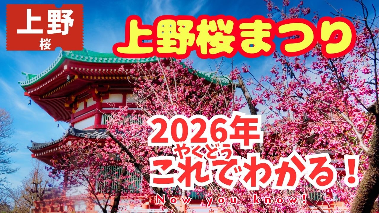 よし！上野へ行こう🌸【うえの桜まつり2026】【うえの桜フェスタ】(もう花見してる！)上野公園が春の絶景に🦆さくら通り・花園稲荷神社・五條天神社・不忍池弁天堂｜骨董市｜上野恩賜公園ueno│japan