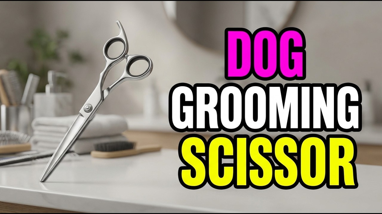 TOP 5 Best Dog Grooming Scissors 2026