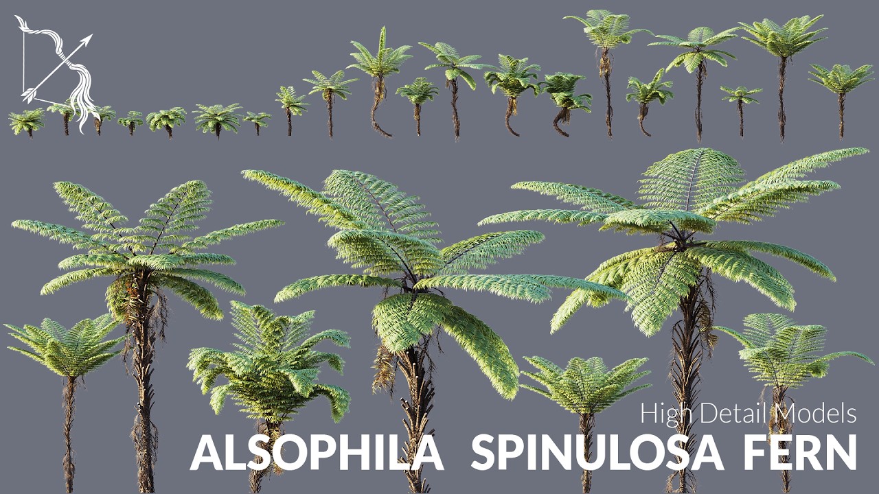 Ultra Realistic Alsophila Spinulosa Fern Tree for Unreal Engine | Hyper realistic WIND, RAIN, SNOW
