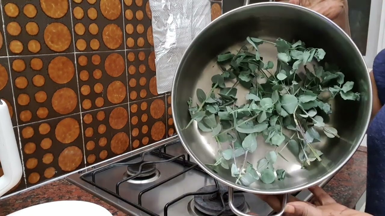 የነጭ ብሀርዛፍ ጥቅም #እምነቴን አልክድም #you Tube