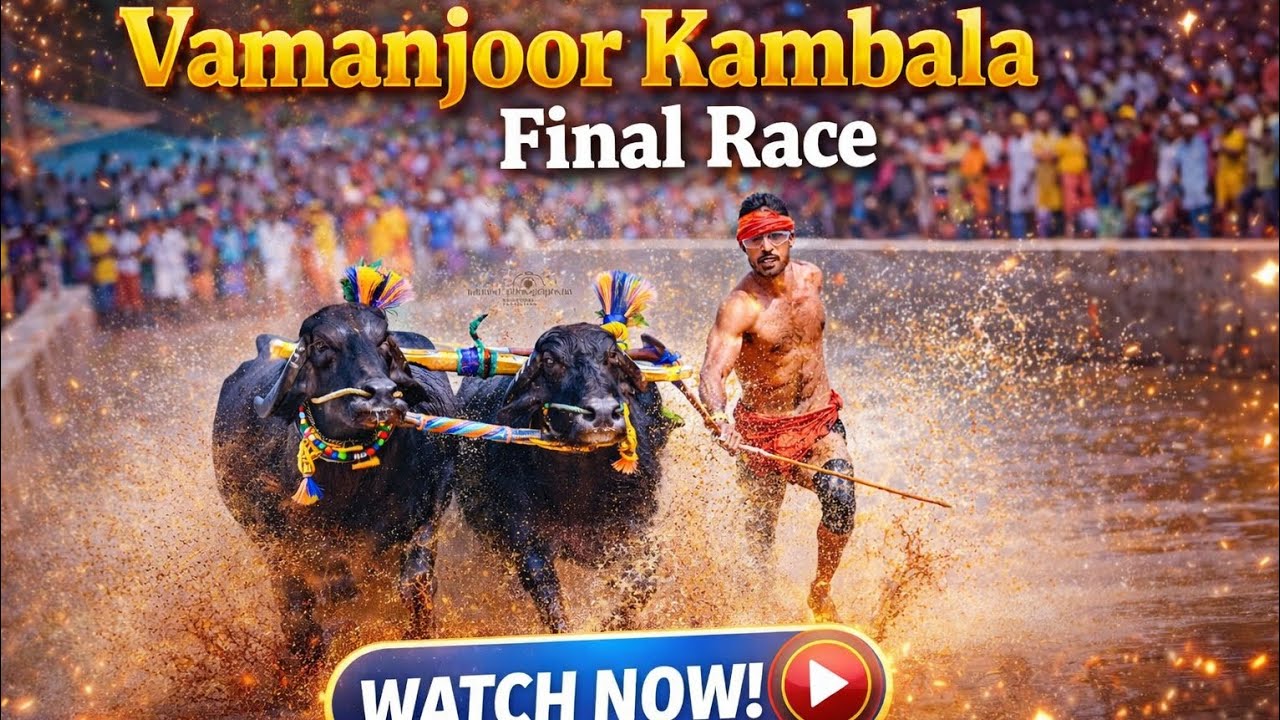 ವಾಮಂಜೂರ್ ಕಂಬಳದ ಫೈನಲ್ ರೇಸ್/Vamanjoor kambala final race💥❤️‍🔥