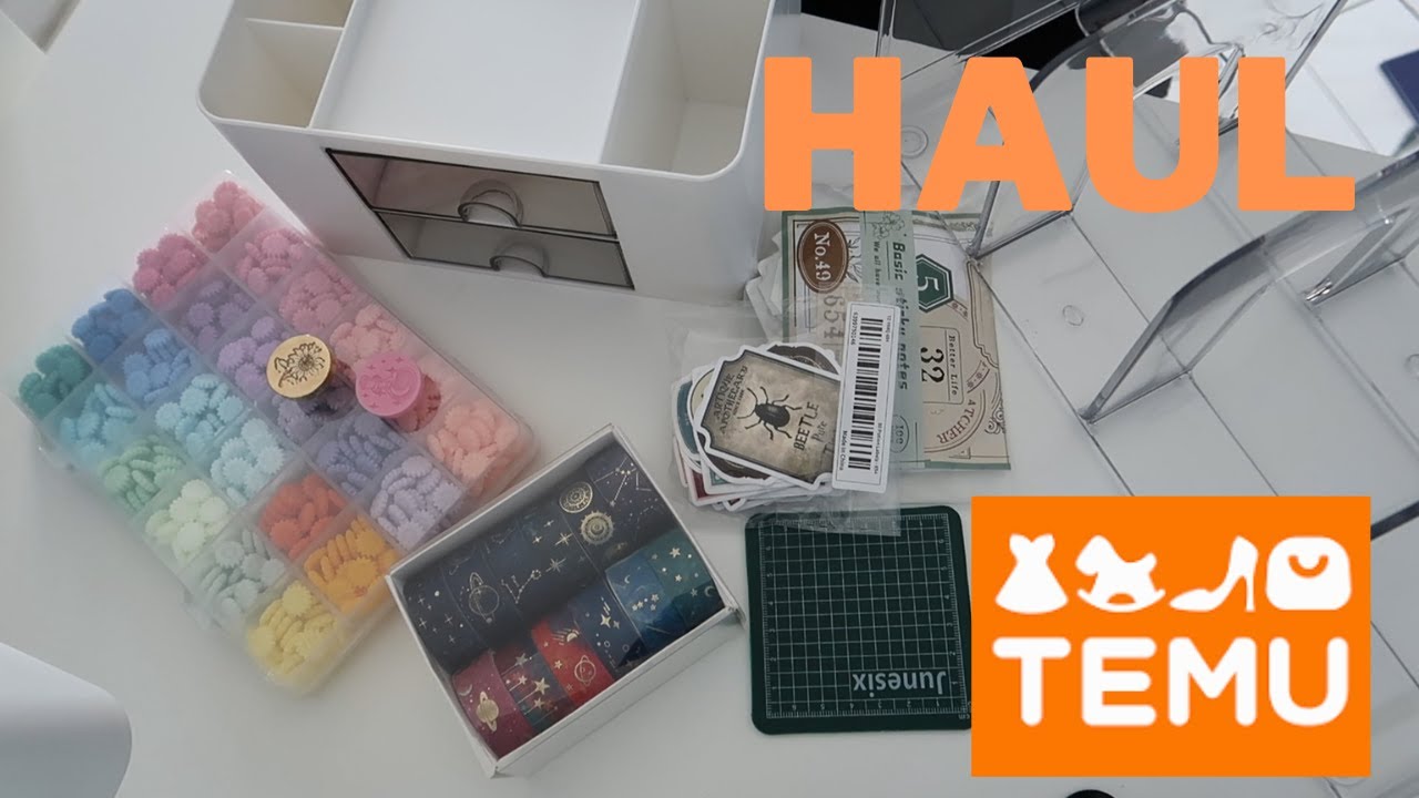 Ma Première commande sur le site de TEMU !