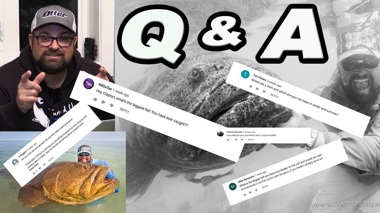 Questions and Answers #1 (Biggest Fish Ever)