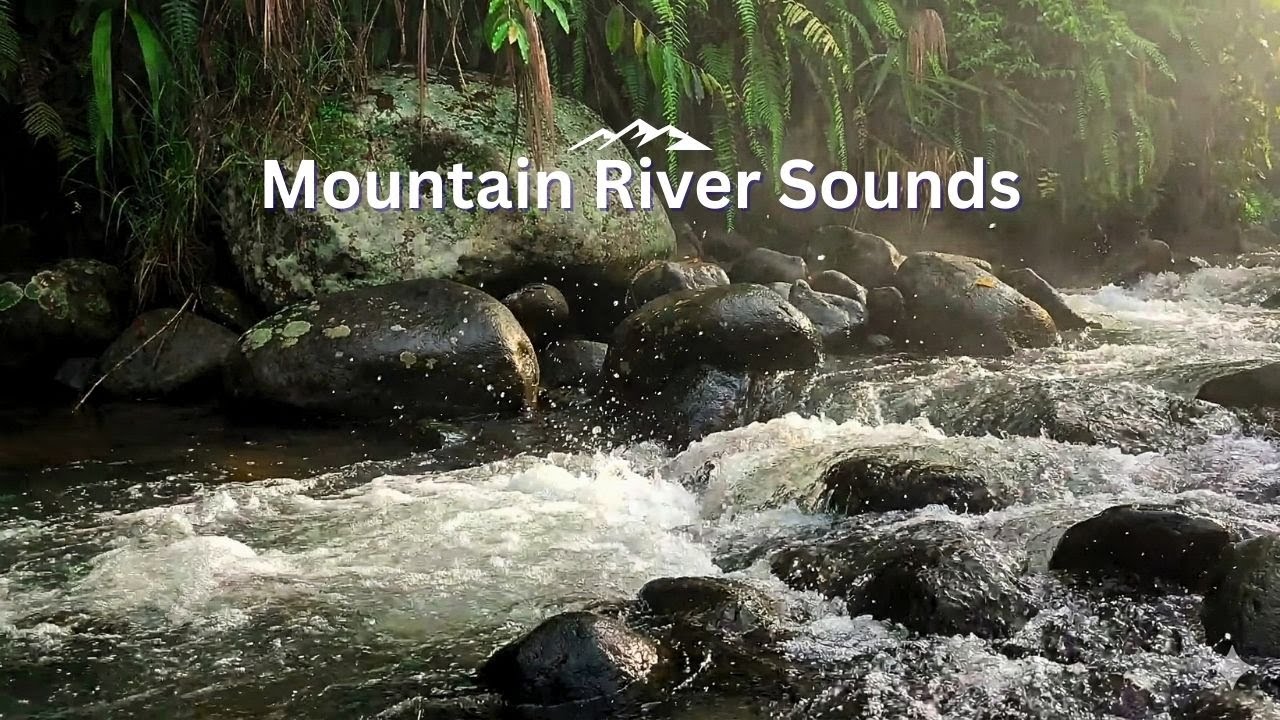 8 Hours Calming River Sounds for Deep Sleep All Night Steady Natural Rainforest Water Flow