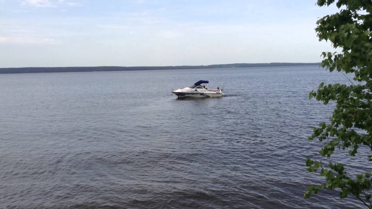 Bayliner 1952 Кама #байлайнер#кама#остров#кайфуши