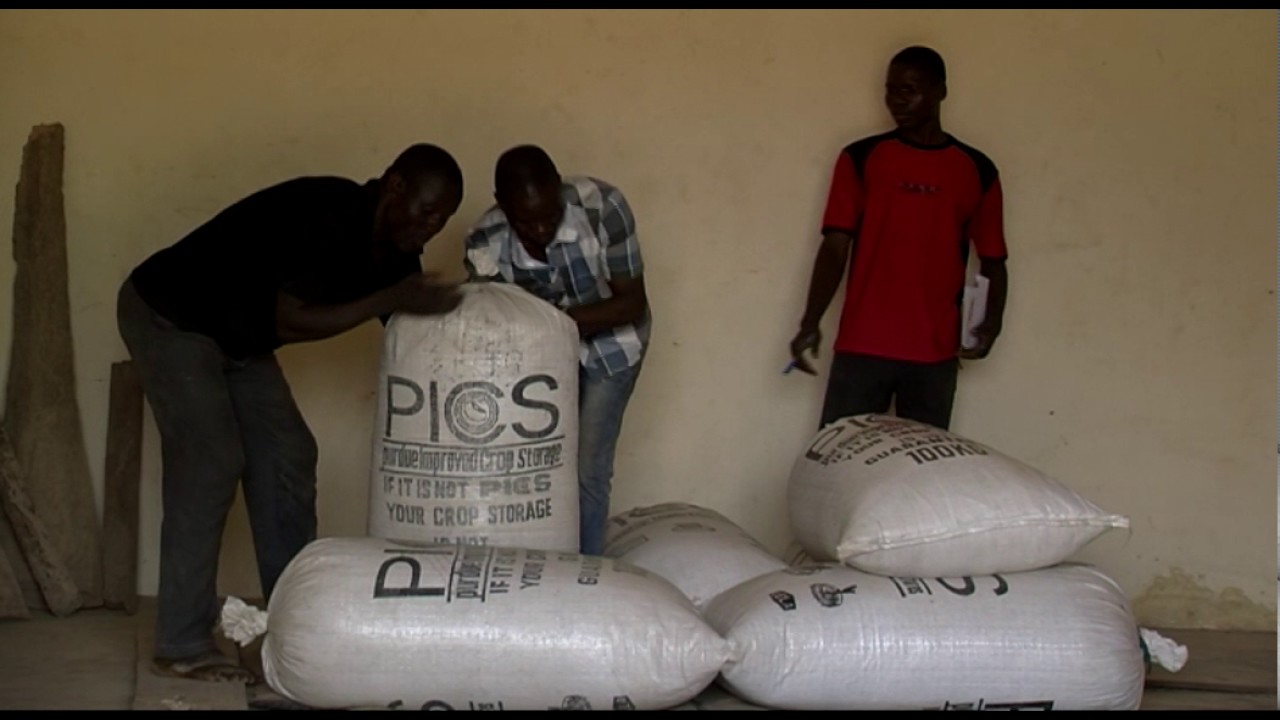 N° 4 Gestion du stockage - Post Récolte - 2016
