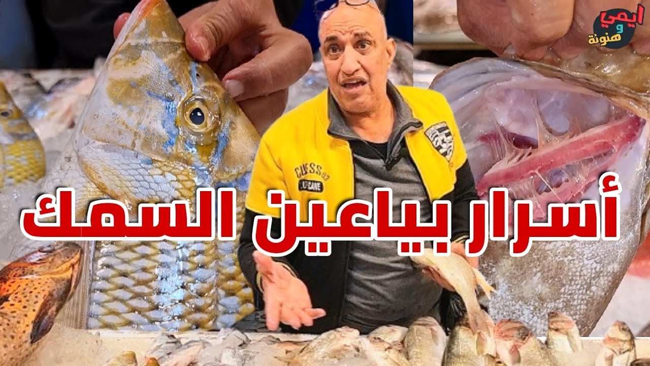 ازاي تعرف تفرق بين انواع السمك المتشابهة 🐟 ونكشف سر غش التجار بخطوة واحدة