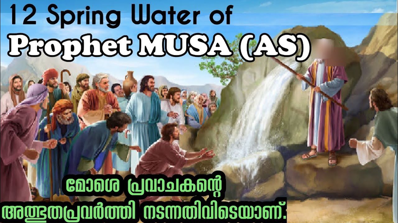 12 Springs Water Of Prophet MUSA (AS) in Maqna | Miracle of Moses |Neom city|Gulf Aqba | Tabuk| Ksa
