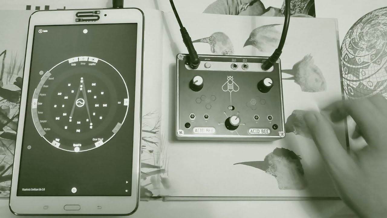 Mazetools Soniface with Error Instruments Acid Bee