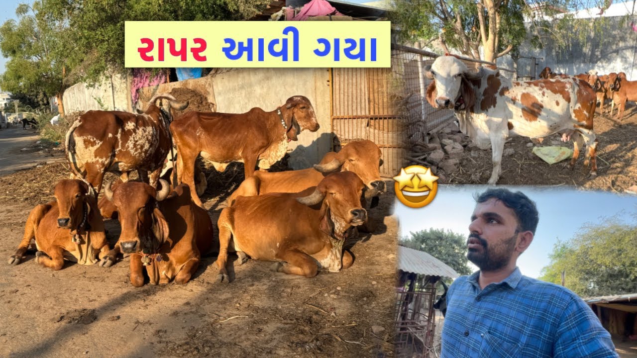 થોડા દિવસ “ઘરે” રોકાયા પછી🥰,હું રાપર આવી ગયો🔥