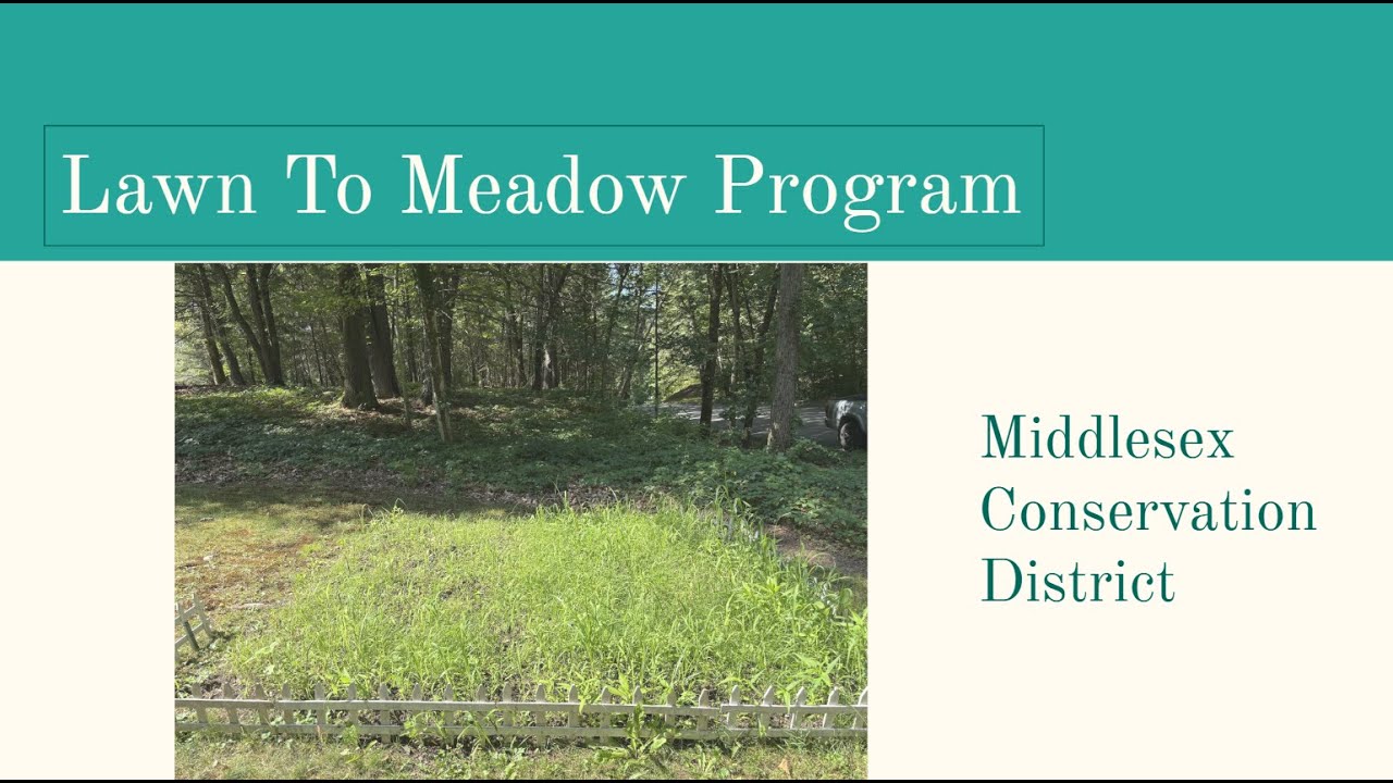 Lawn to Meadow Program Training - October 27, 2025