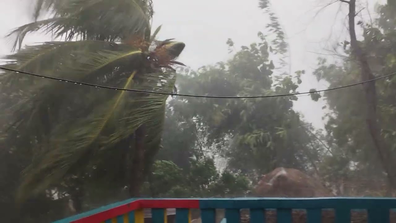 আচমকা কেমন বৃষ্টি নেমে এল...