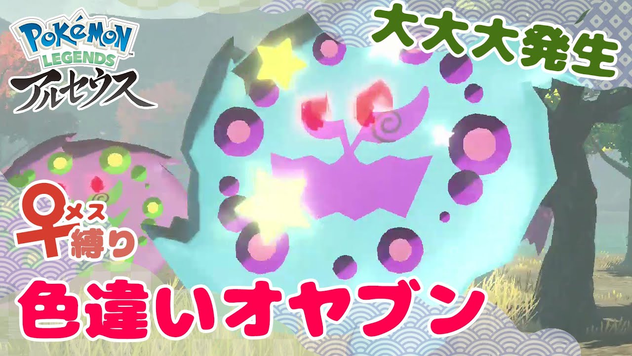 色オヤブンミカルゲの出る大大大発生にようやく出会えました！！！【メス縛り】【ポケモン色厳選】【レジェアル】