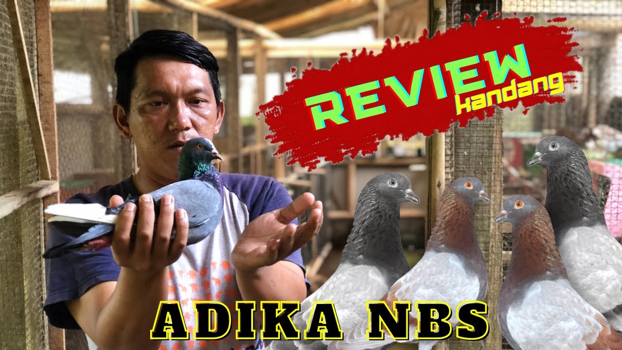 TONTON SEKARANG❗️Kita REVIEW KANDANG AdikaNBS di Purworejo. Apa aja MATERI PACEK kami⁉️