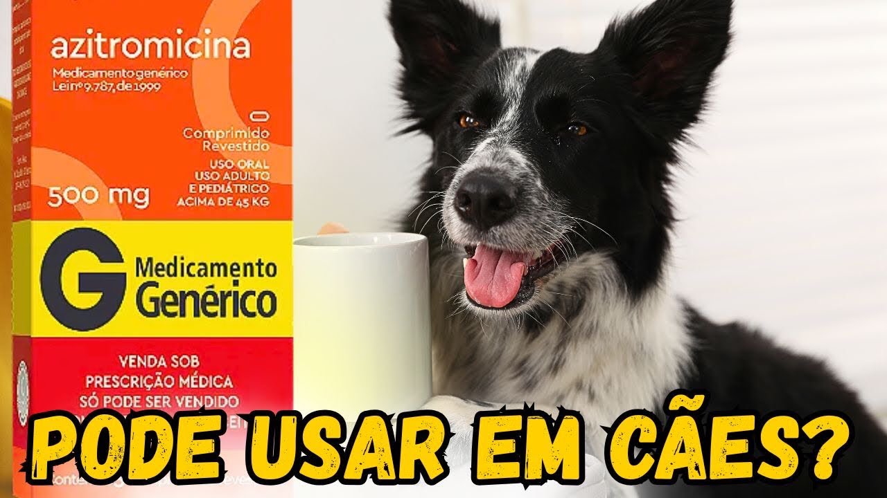 AZITROMICINA POTENTE ANTIBIÓTICO USADO TAMBÉM EM CÃES