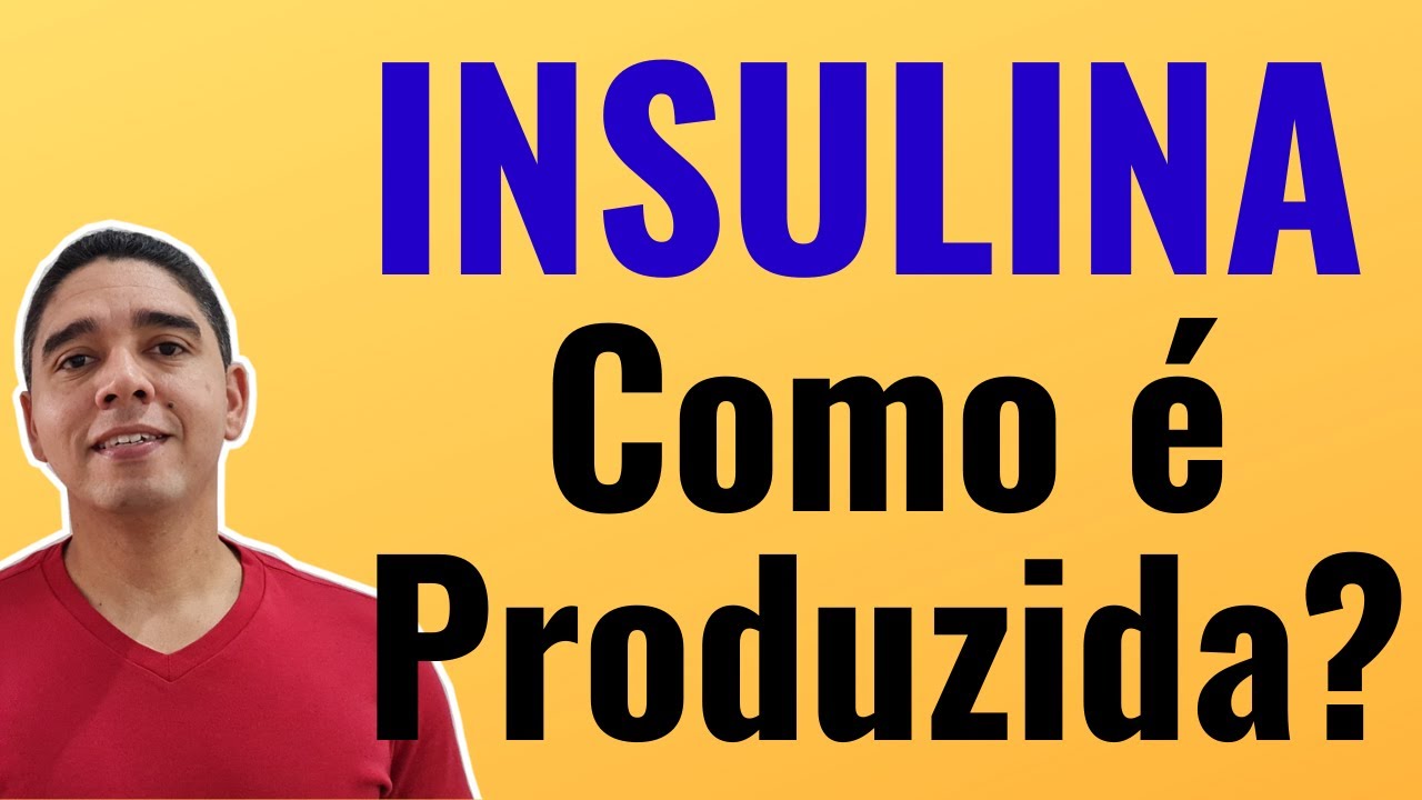 Como a Insulina &eacute; Produzida?