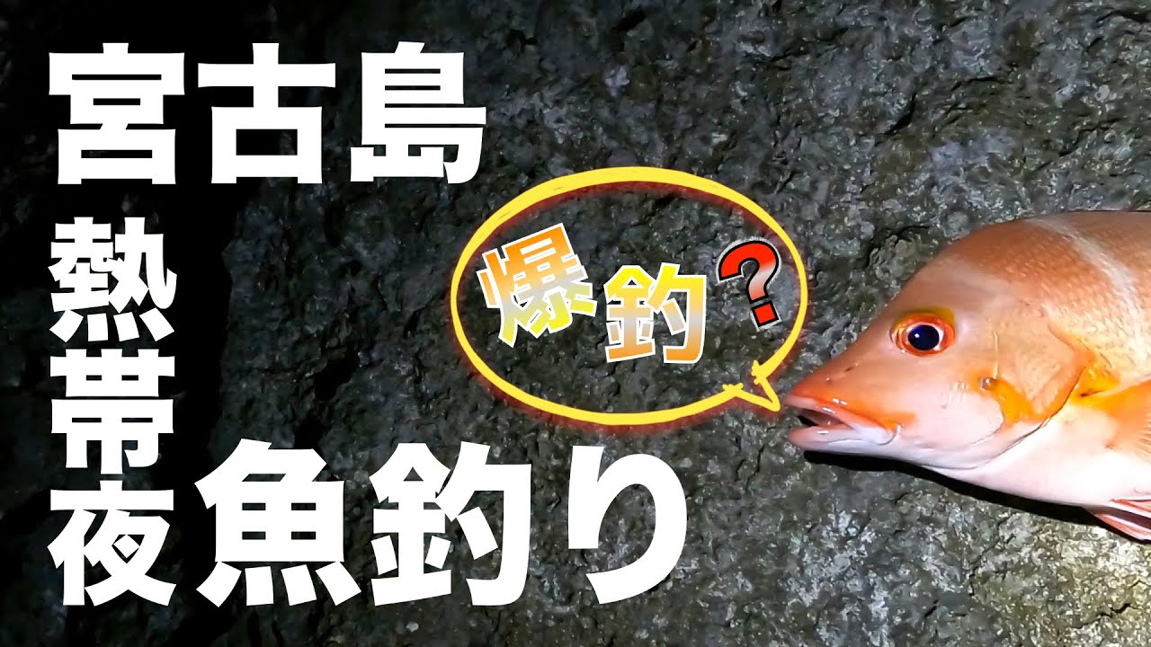 【入れ喰い】釣り座を変えたらゲキテキに釣果が変わった。【夜釣り】