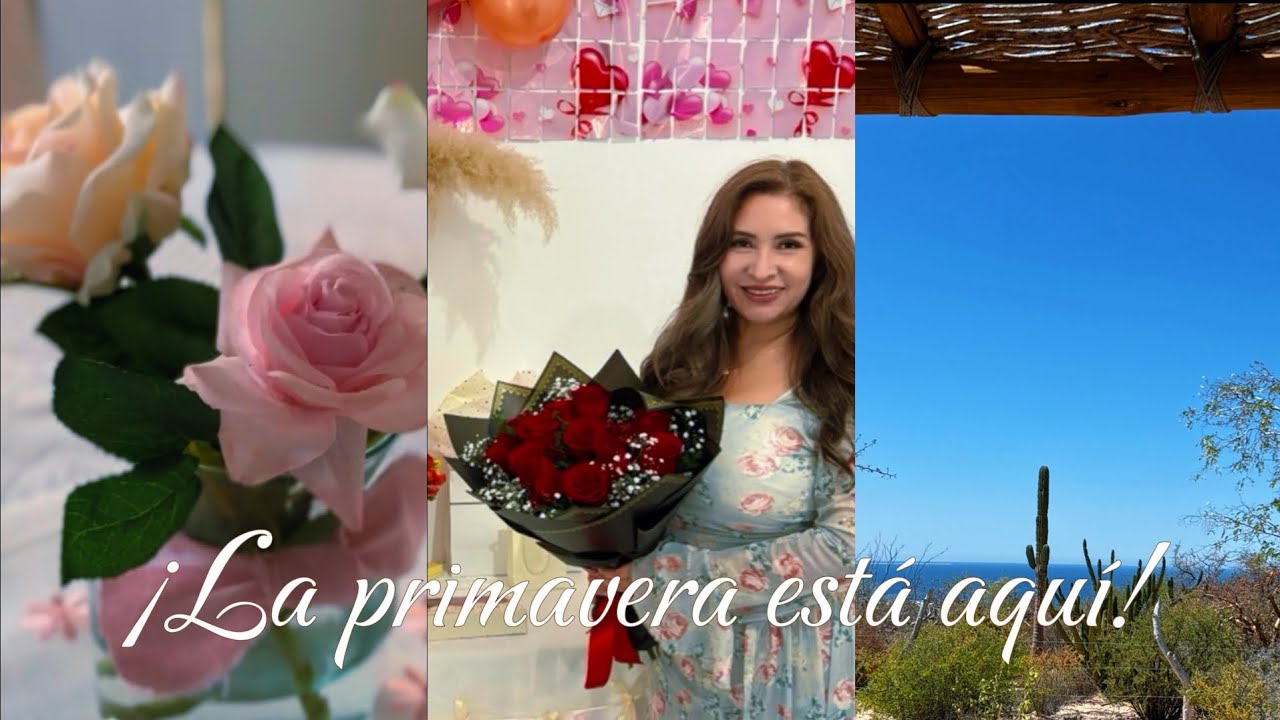 Decoración en casa chica 🌷| Museo de arte | tianguis de el Sargento BCS y decoración. #vlog